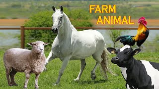 Animais da Fazenda  Nome e som dos Animais da Fazenda [upl. by Gleich]