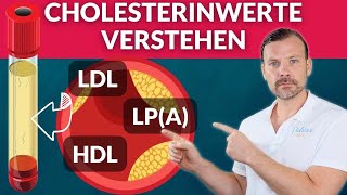 Cholesterin und die Blutgefäße  die Zusammenhänge erklärt LDLHDL und Lipoprotein A [upl. by Acissj]