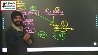 NEET  BIOMOLECULES  CLASS 11  ENZYMES  INHIBITION COMPETITIVE NON COMPETITIVE HOLOENZYME [upl. by Ultun]