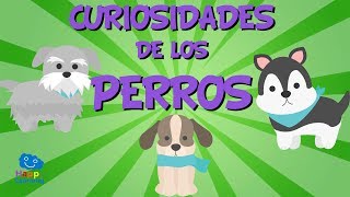 Curiosidades de los Perros  Videos Educativos para Niños [upl. by Lecram]