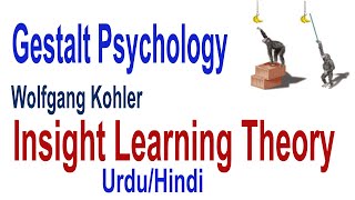 What is Insight Learning  Cognitive Learning Theory by Kohler Gestalt Psychology  UrduHindi [upl. by Yonatan]