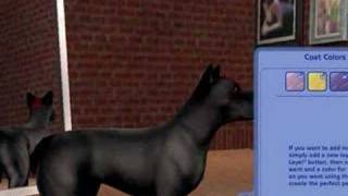 How to make Sonic Pets on The Sims 2 Pets [upl. by Kimitri801]