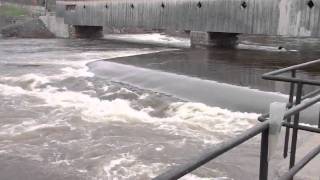 Ammonoosuc River and Connecticut River Flood Stage [upl. by Hellman]