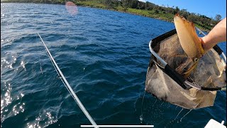 Squid Fishing Jervis Bay [upl. by Athal603]