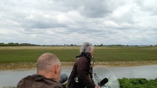 20170501  Birding  Holland [upl. by Lema]