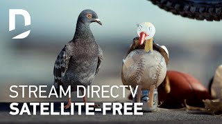 DIRECTV  For The Birds  Girlfriend 30 [upl. by Burgwell141]