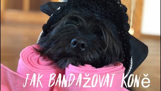 JAK BANDÁŽOVAT KONĚ [upl. by Notle]