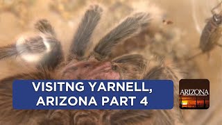 Visiting Yarnell  Part 4 [upl. by Ennaillij]