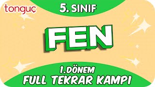 5 Sınıf Fen 1 Dönem Full Tekrar ♻ 2024 [upl. by Lali686]