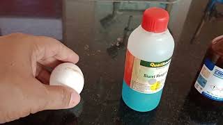 How to test Protein in Egg Albumin test for Protein Xanthoproteic test Ninhydrin test Biuret test [upl. by Natal882]