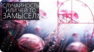 ЧИСЛА ФИБОНАЧЧИ УДИВИТЕЛЬНАЯ ЗАКОНОМЕРНОСТЬ Число ФИ и Золотое сечение [upl. by Adnoraj]