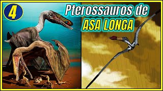 PTEROSSAUROS EVOLUÇÃO dos PTERANODONTÓIDES do CRETÁCEO  Especial Pterossauros 4 [upl. by Odrareg321]