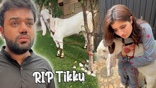 Tikku Ki Qurbani 😭  Emotional Eid Mubarak 💔 [upl. by Arehahs]