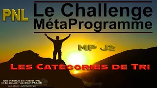 Challenge Métaprogramme J2  catégories de tri primaire  PNL [upl. by Euqram]