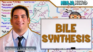 Gastrointestinal  Bile Synthesis [upl. by Anowahs]