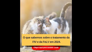 O que sabemos de novo sobre o tratamento da FeLV em 2024 [upl. by Camden]