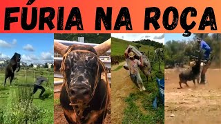 5 Animais mais ZANGADOS e VALENTES da roça [upl. by Carlene180]