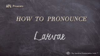 How to Pronounce Larvae Real Life Examples [upl. by Cornall]