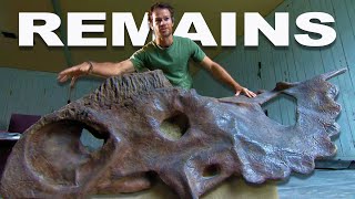 The Great Fossil Race Uncovering Prehistoric Dinosaur Bones  Dino Hunt  Real Wild [upl. by Aihsekyw]