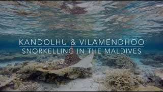 Snorkelling in the Maldives  Kandolhu amp Vilamendhoo  2016 [upl. by Uzial]