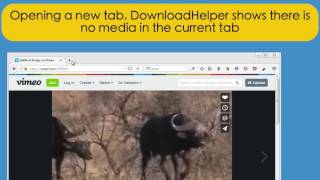 Video DownloadHelper 6 User interface basics [upl. by Alber]