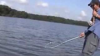 Fly Fishing for Tarpon in Carambola Venezuela [upl. by Ecikram]