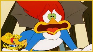 Woody Woodpecker Show  1 Hour Compilation  Cartoons For Children [upl. by Raynor]