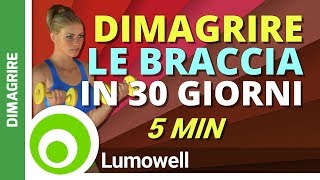 5 Minuti di Esercizi per Dimagrire le Braccia in un Mese [upl. by Nailimixam]