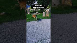 Exploring Glendalough County in Wicklow Ireland relaxingmusic nature ireland [upl. by Darian]