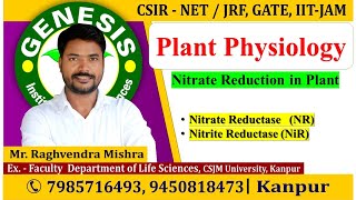 Nitrate Reduction in plants  Plant Physiology CSIR NETJRF  GATE  Life science  ICMR IITJAM [upl. by Imac]