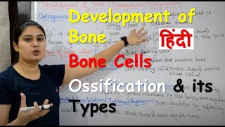 Development of Bone in Hindi  Bone Cells  Ossification amp its Types [upl. by Eicyac]