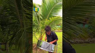 St Vincent amp the Grenadines National Anthem  Steelpan Cover  UWI Panoridim Steel Orchestra [upl. by Ayiotal]