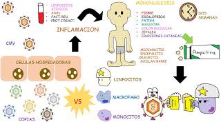 Cytomegalovirus for the USMLE Step 1 [upl. by Demakis]