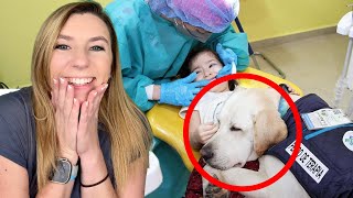 This Adorable Dog is Changing Dentist Visits FOREVER  The Good News Girl [upl. by Eessac]