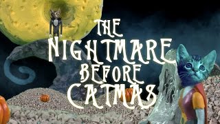 NIGHTMARE BEFORE CHRISTMAS Cute Kitten Version [upl. by Mosnar]