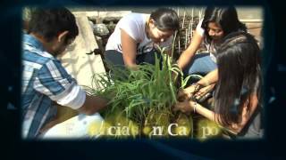 Licenciatura en Agroecología  UADY [upl. by Benioff730]