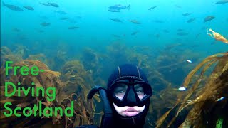 Snorkeling and freediving at Findochty North Scotland [upl. by Ecadnak147]