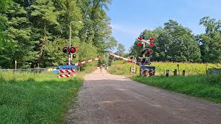 Spoorwegovergang Doetinchem  Dutch Railroad Crossing [upl. by Ebony]