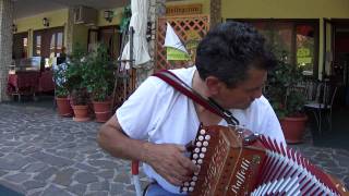 Tarantella Calabrese Antonio Serra al Pettoruto 2011 [upl. by Wivinia793]