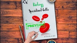 Specialised Cells [upl. by Dunton]