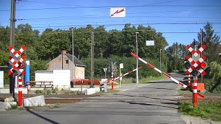 Spoorwegovergang Aarschot B  Railroad crossing  Passage à niveau [upl. by Ruperto]