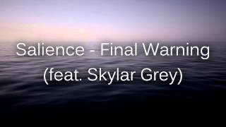 Skylar Grey  Final Warning  Salience  Rap Remix [upl. by Bobseine133]