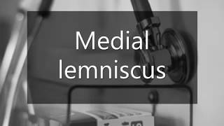 Learn how to pronounce Medial lemniscus [upl. by Alled501]