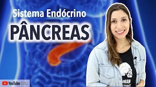 Pâncreas Sistema Endócrino  Anatomia etc [upl. by Jehius]