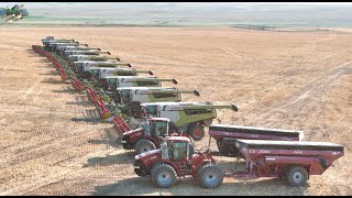 Colorado Wheat Harvest 2024 with 12 Claas Lexion Combines [upl. by Labotsirc533]