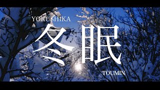 Yorushika  冬眠 Toumin  Lyrics  Translation [upl. by Atteloc]