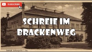 SCHREIE IM BRACKENWEG krimihörspiel retro Günther Strack Wilfried Klaus 90er [upl. by Isayg542]