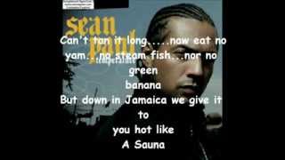 SEAN PAUL TEMPERATURE with LYRICS1 BY rdarshan0 [upl. by Ynahirb732]