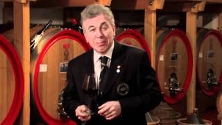 Personal Sommelier Video Degustazione Amarone DOC 2006 Bonazzi amp Boscaini [upl. by Anade74]