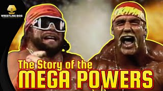 The Story of The Mega Powers in the WWF [upl. by Belter119]